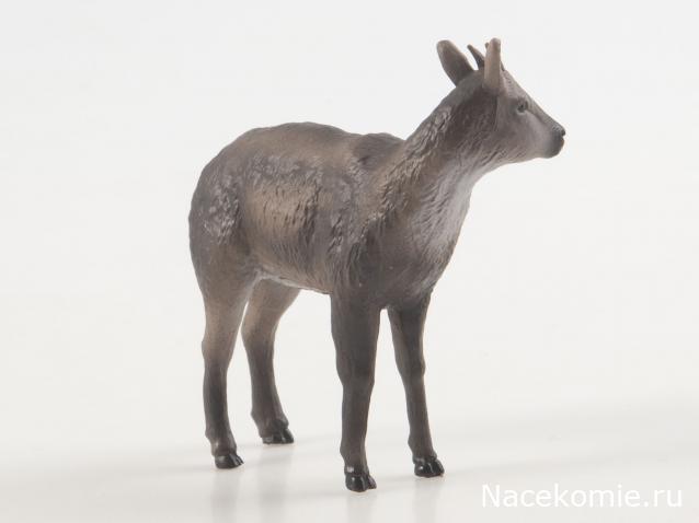 Дикие животные России (MODIMIO)