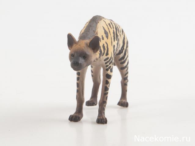 Дикие животные России (MODIMIO)