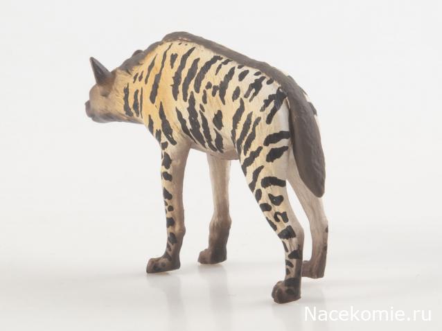 Дикие животные России (MODIMIO)