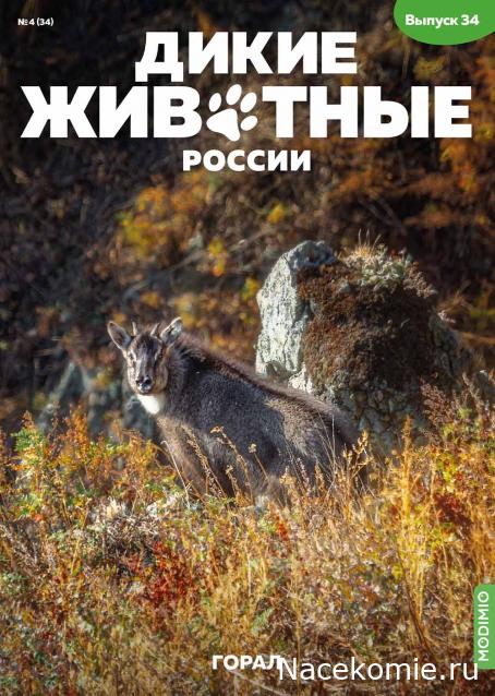 Дикие животные России (MODIMIO)