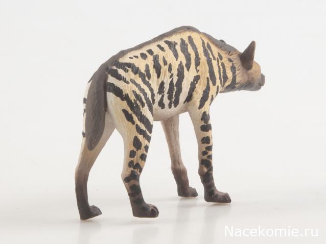 Дикие животные России (MODIMIO)