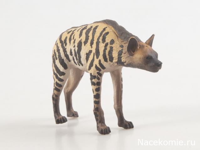 Дикие животные России (MODIMIO)