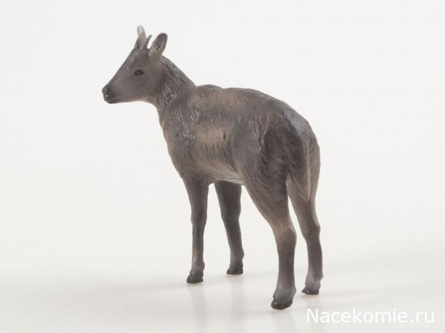 Дикие животные России (MODIMIO)