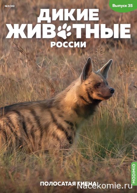 Дикие животные России (MODIMIO)