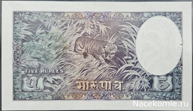 Коллекция alexenamel