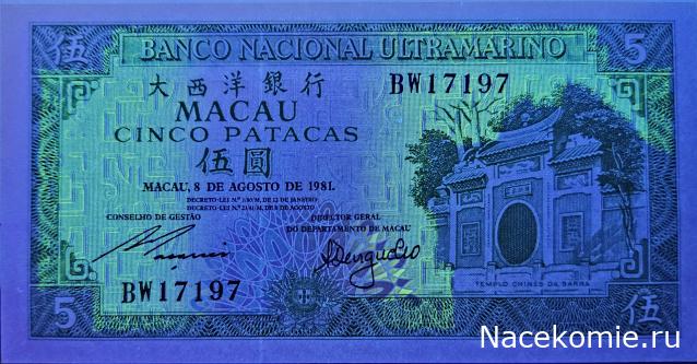 Коллекция alexenamel