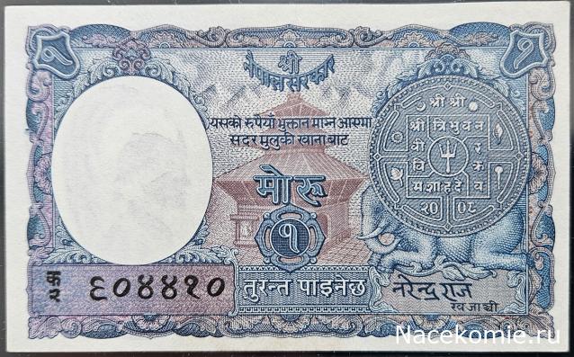 Коллекция alexenamel