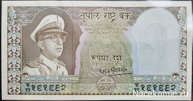 Коллекция alexenamel