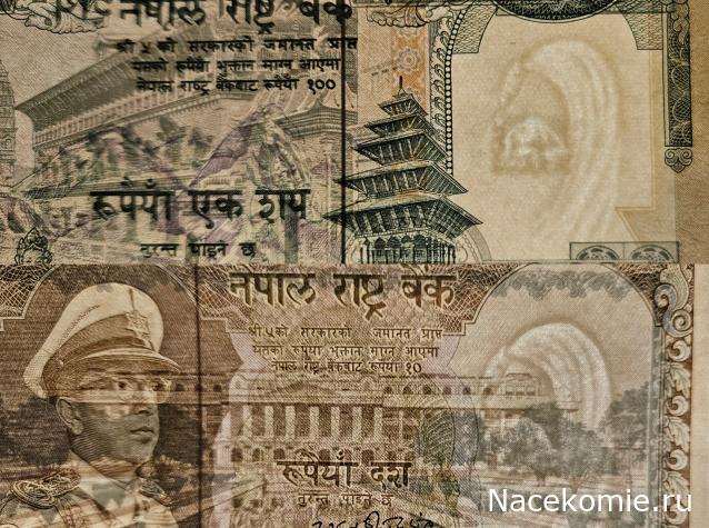 Коллекция alexenamel