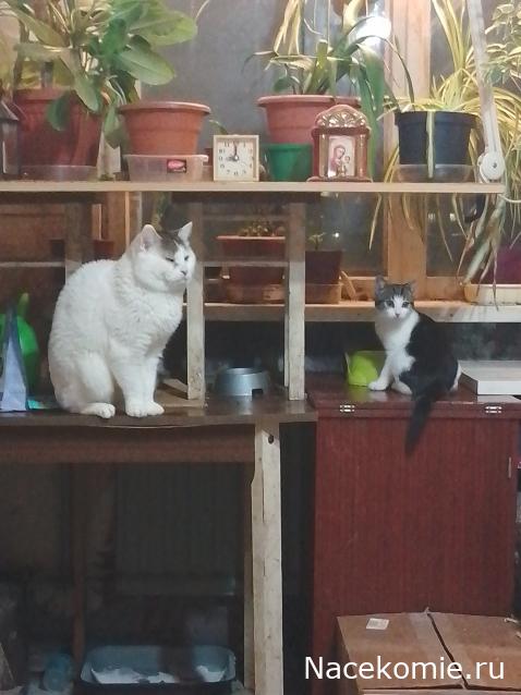 "Живой уголок"