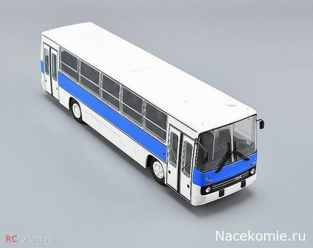 Наши Автобусы №81 - Икарус-260.51