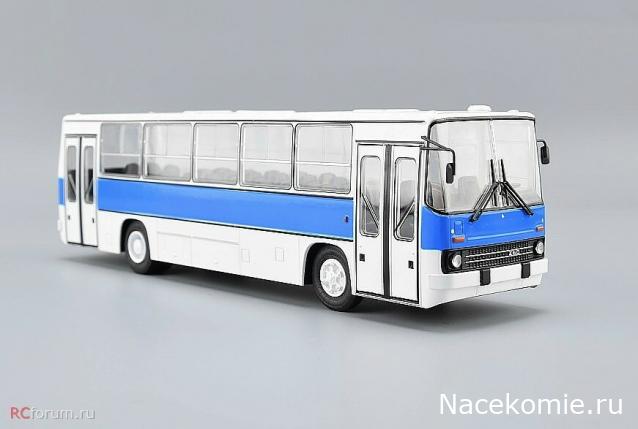 Наши Автобусы №81 - Икарус-260.51