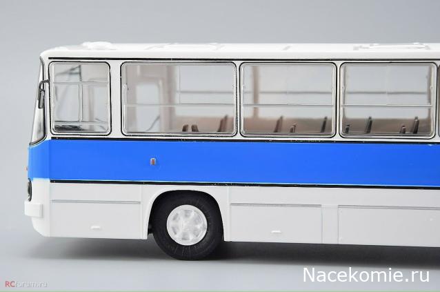 Наши Автобусы №81 - Икарус-260.51