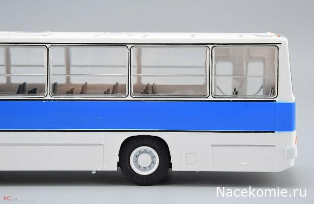 Наши Автобусы №81 - Икарус-260.51