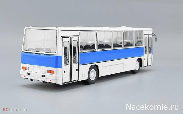 Наши Автобусы №81 - Икарус-260.51