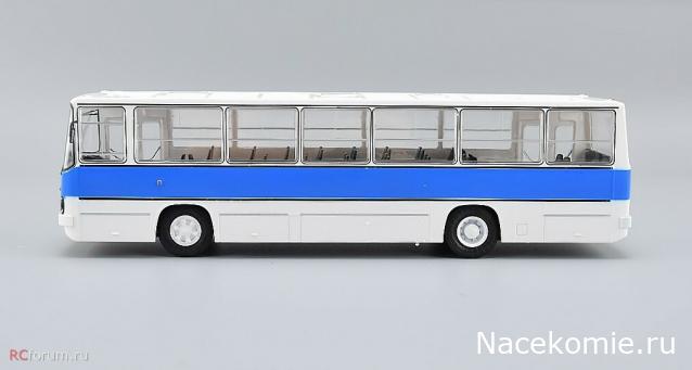 Наши Автобусы №81 - Икарус-260.51