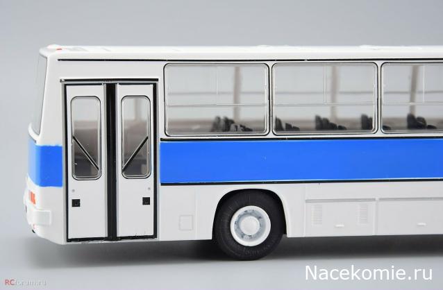 Наши Автобусы №81 - Икарус-260.51