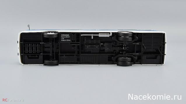 Наши Автобусы №81 - Икарус-260.51