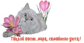 100 крестиков!