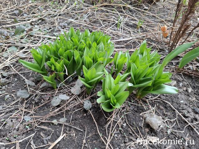 "Живой уголок"