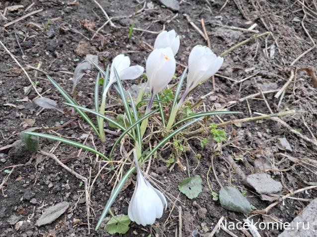 "Живой уголок"