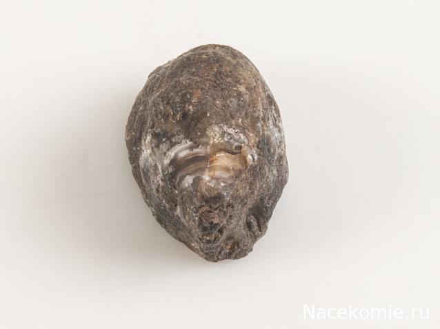 Камни и Минералы. Тайны Недр №27 - Жеода Халцедона