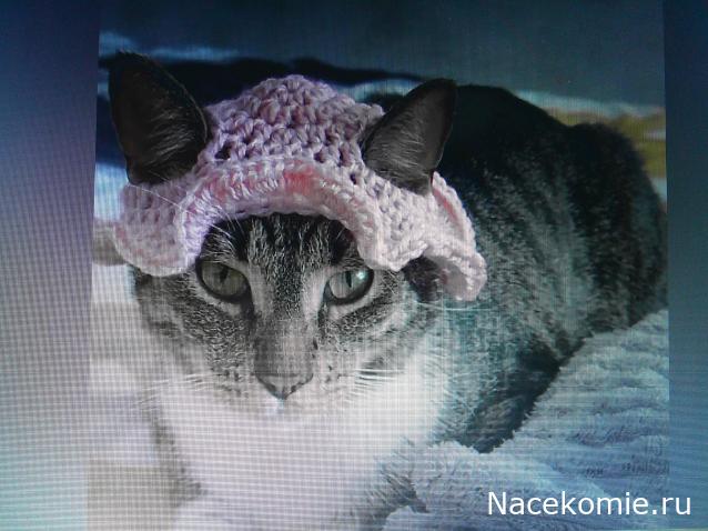 Eva1949 - Дом мечты-души моей воспоминания; 1Abrikoska - Мой гостеприимный дом