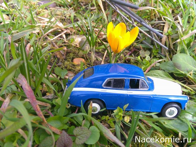 Eva1949 - Дом мечты-души моей воспоминания; 1Abrikoska - Мой гостеприимный дом