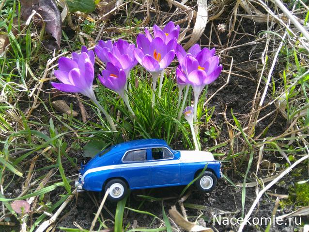 Eva1949 - Дом мечты-души моей воспоминания; 1Abrikoska - Мой гостеприимный дом