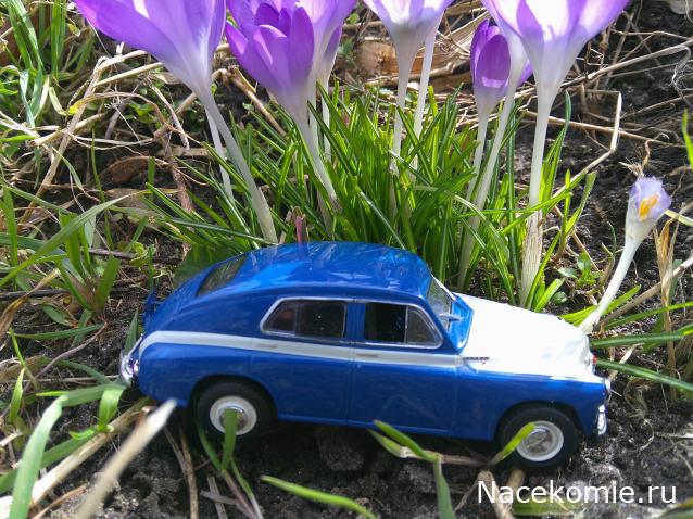 Eva1949 - Дом мечты-души моей воспоминания; 1Abrikoska - Мой гостеприимный дом