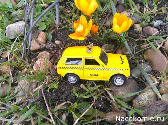 Eva1949 - Дом мечты-души моей воспоминания; 1Abrikoska - Мой гостеприимный дом