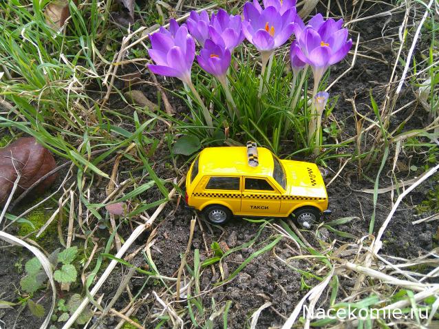 Eva1949 - Дом мечты-души моей воспоминания; 1Abrikoska - Мой гостеприимный дом