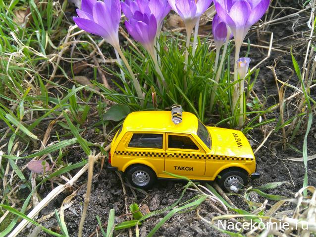 Eva1949 - Дом мечты-души моей воспоминания; 1Abrikoska - Мой гостеприимный дом