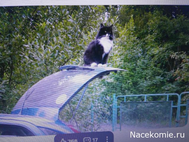 Eva1949 - Дом мечты-души моей воспоминания; 1Abrikoska - Мой гостеприимный дом