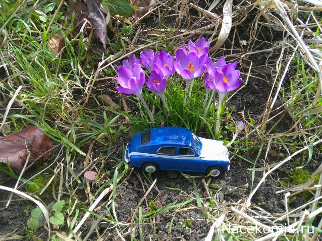 Eva1949 - Дом мечты-души моей воспоминания; 1Abrikoska - Мой гостеприимный дом