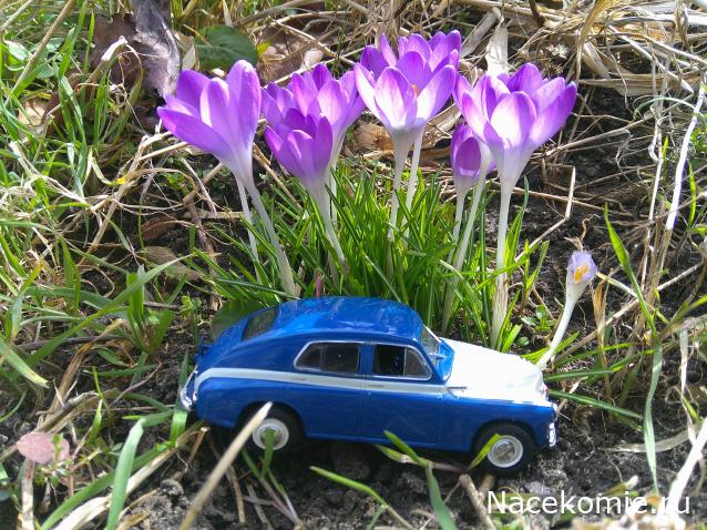 Eva1949 - Дом мечты-души моей воспоминания; 1Abrikoska - Мой гостеприимный дом