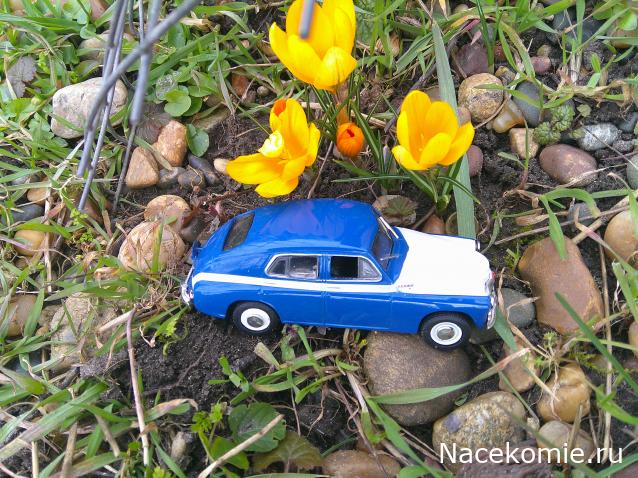 Eva1949 - Дом мечты-души моей воспоминания; 1Abrikoska - Мой гостеприимный дом