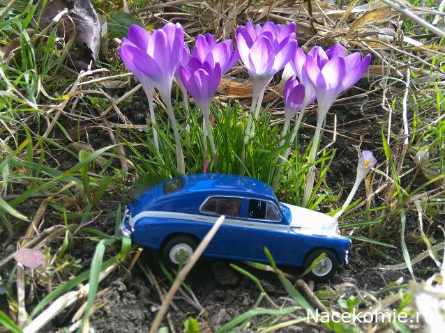 Eva1949 - Дом мечты-души моей воспоминания; 1Abrikoska - Мой гостеприимный дом