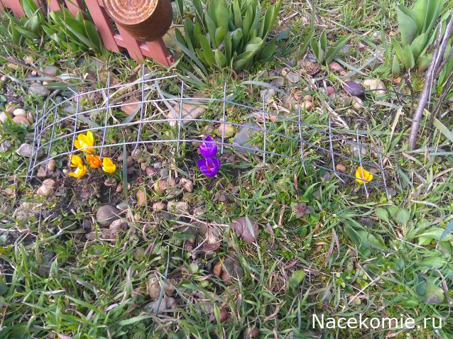 Eva1949 - Дом мечты-души моей воспоминания; 1Abrikoska - Мой гостеприимный дом