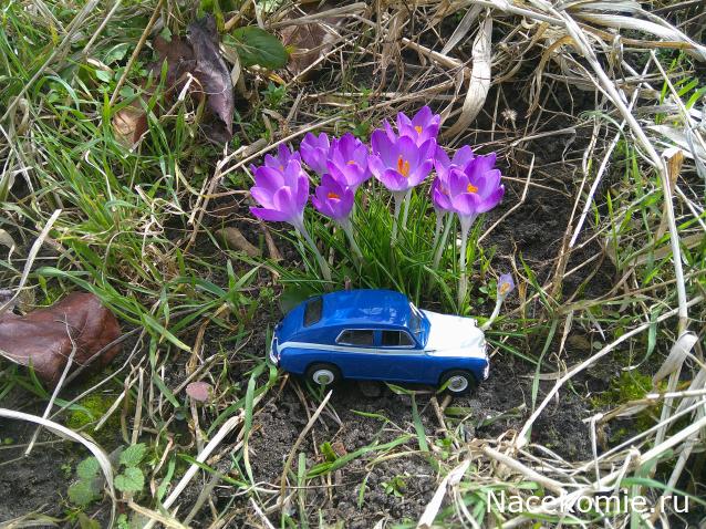 Eva1949 - Дом мечты-души моей воспоминания; 1Abrikoska - Мой гостеприимный дом