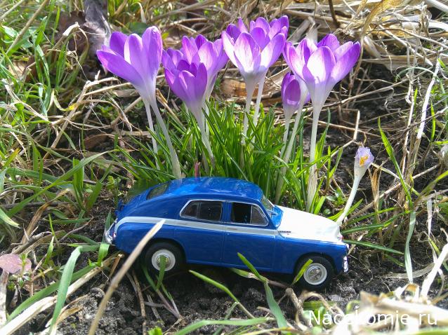 Eva1949 - Дом мечты-души моей воспоминания; 1Abrikoska - Мой гостеприимный дом