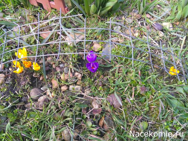 Eva1949 - Дом мечты-души моей воспоминания; 1Abrikoska - Мой гостеприимный дом