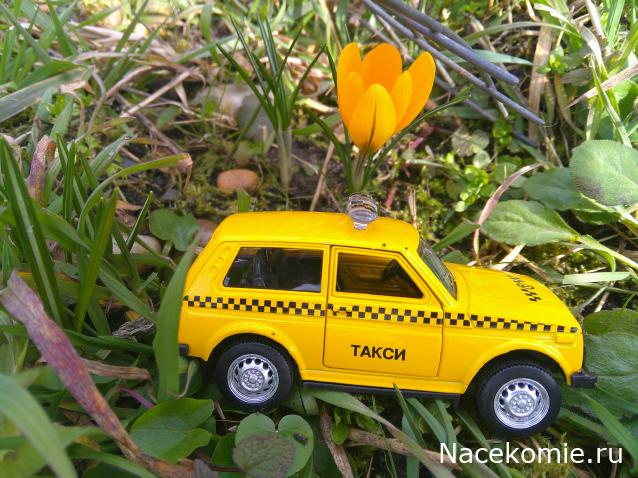 Eva1949 - Дом мечты-души моей воспоминания; 1Abrikoska - Мой гостеприимный дом