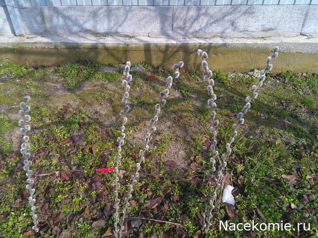 Eva1949 - Дом мечты-души моей воспоминания; 1Abrikoska - Мой гостеприимный дом