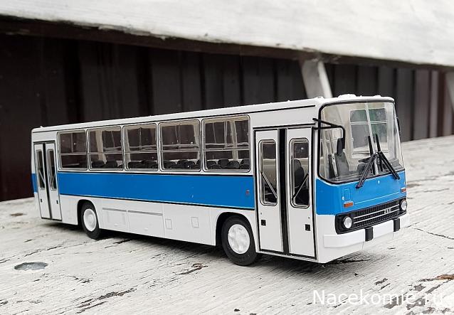 Наши Автобусы №81 - Икарус-260.51