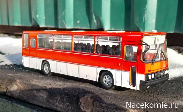 Наши Автобусы №31 - Икарус-256