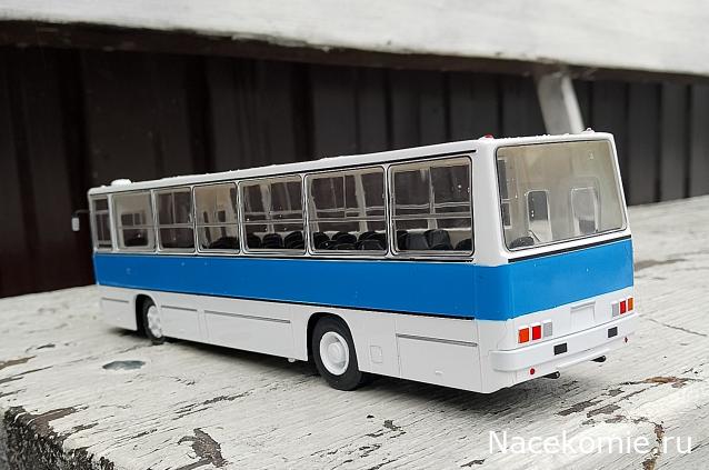 Наши Автобусы №81 - Икарус-260.51