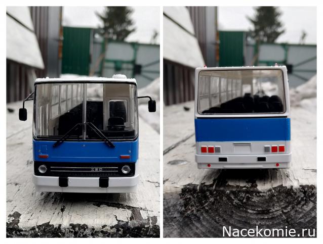 Наши Автобусы №81 - Икарус-260.51