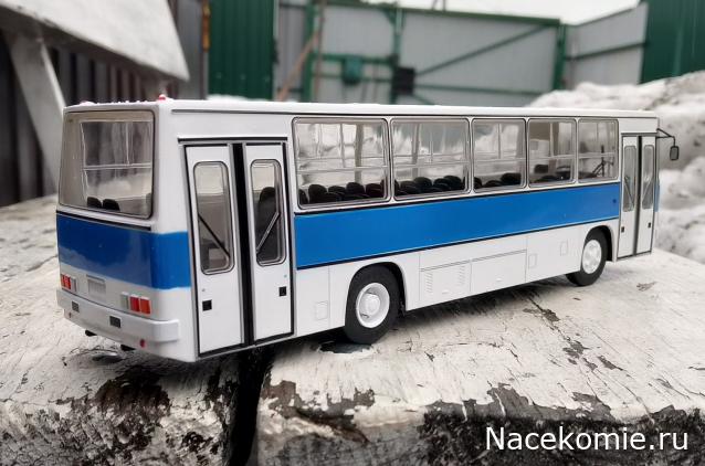 Наши Автобусы №81 - Икарус-260.51