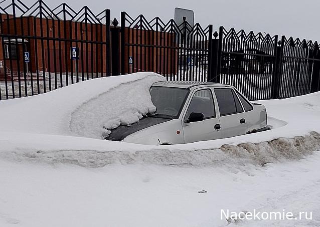 Автолегенды вживую